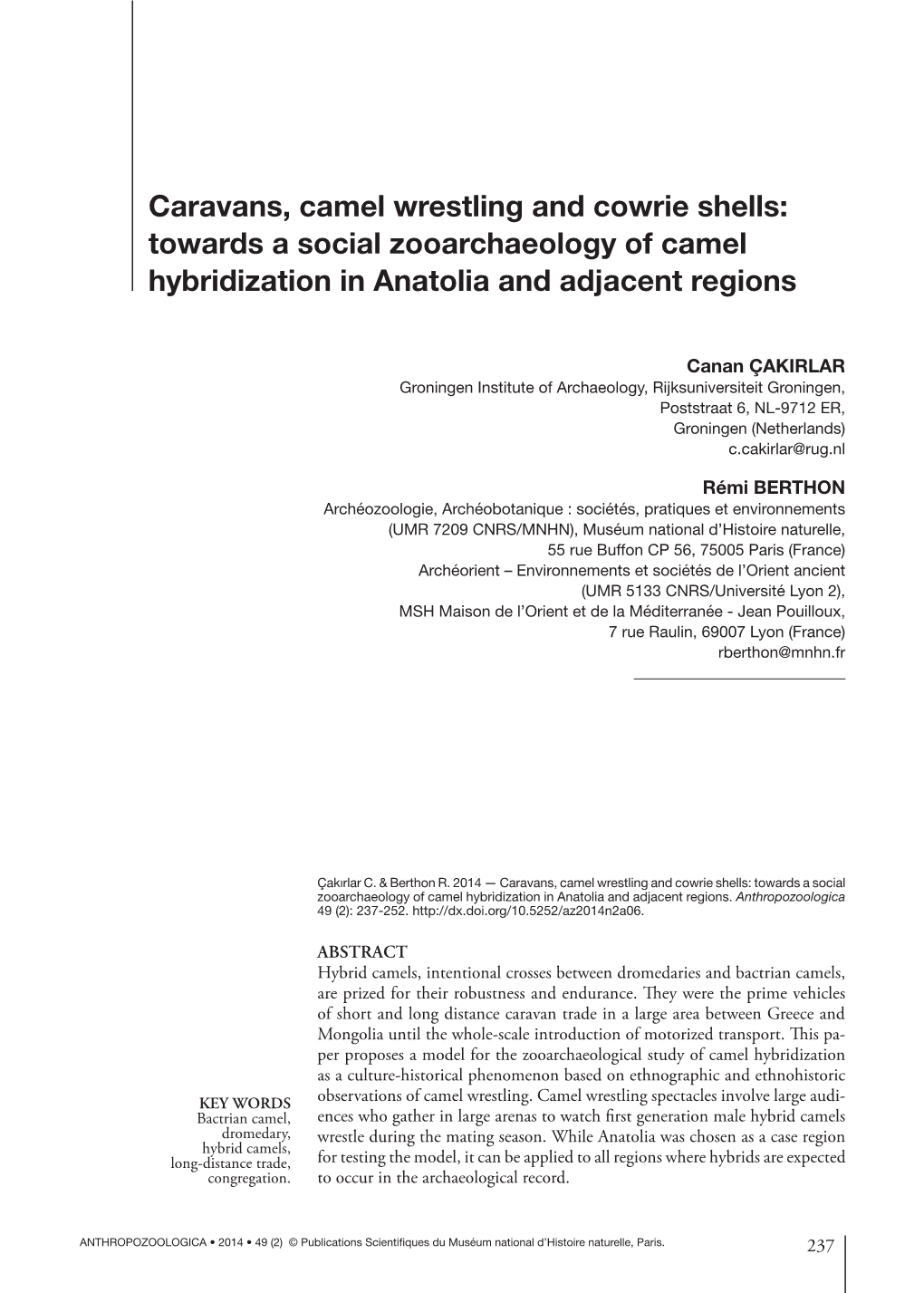 Caravans, Camel Wrestling and Cowrie Shells: Towards a Social Zooarchaeology of Camel Hybridization in Anatolia and Adjacent Regions