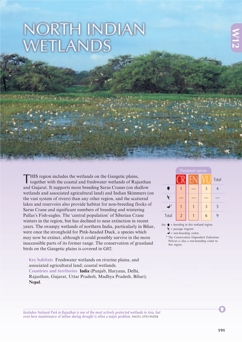 North Indian Wetlands (PDF, 455