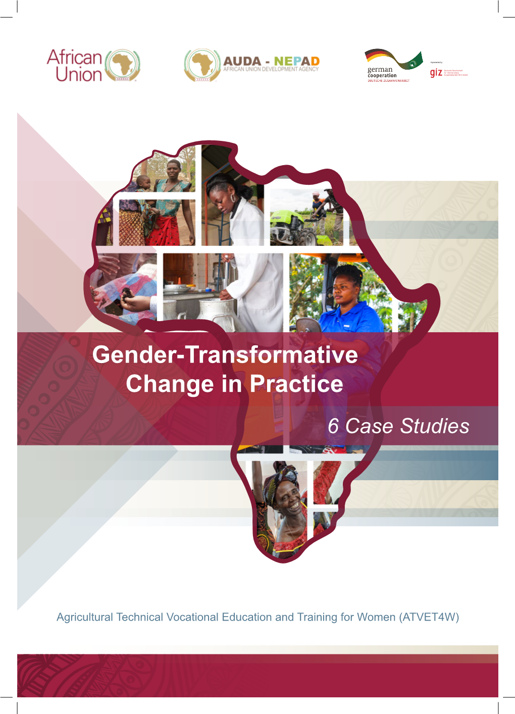 Gender-Transformative Change in Practice 6 Case Studies