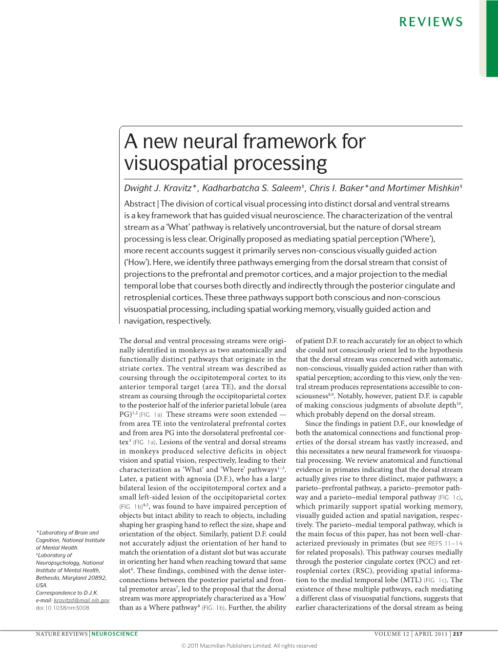 A New Neural Framework for Visuospatial Processing