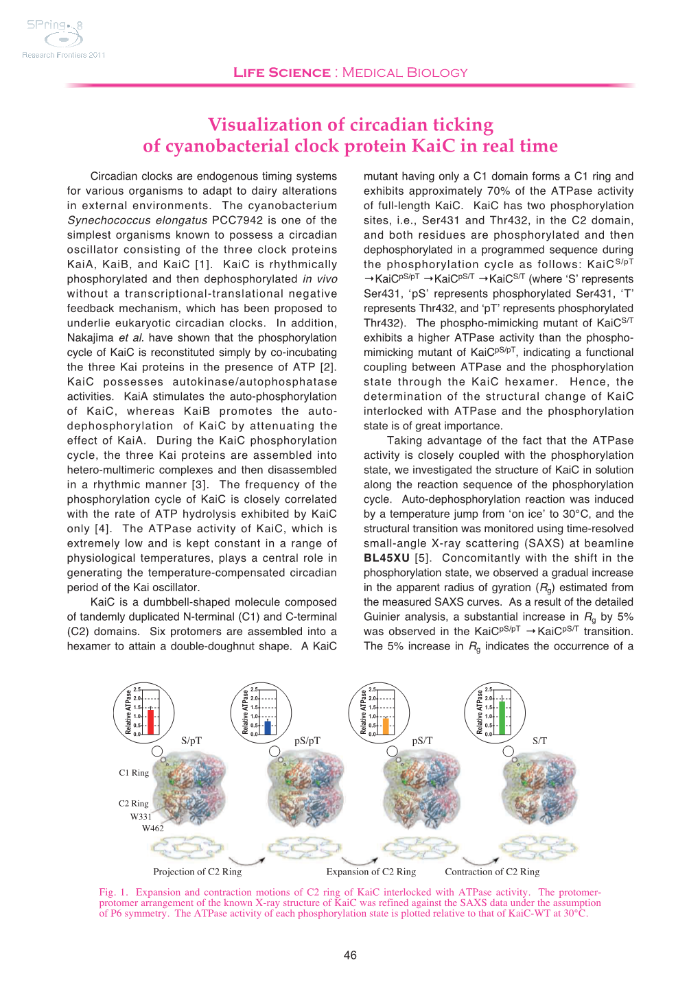 Visualization of Circadian Ticking of Cyanobacterial Clock Protein Kaic in Real Time