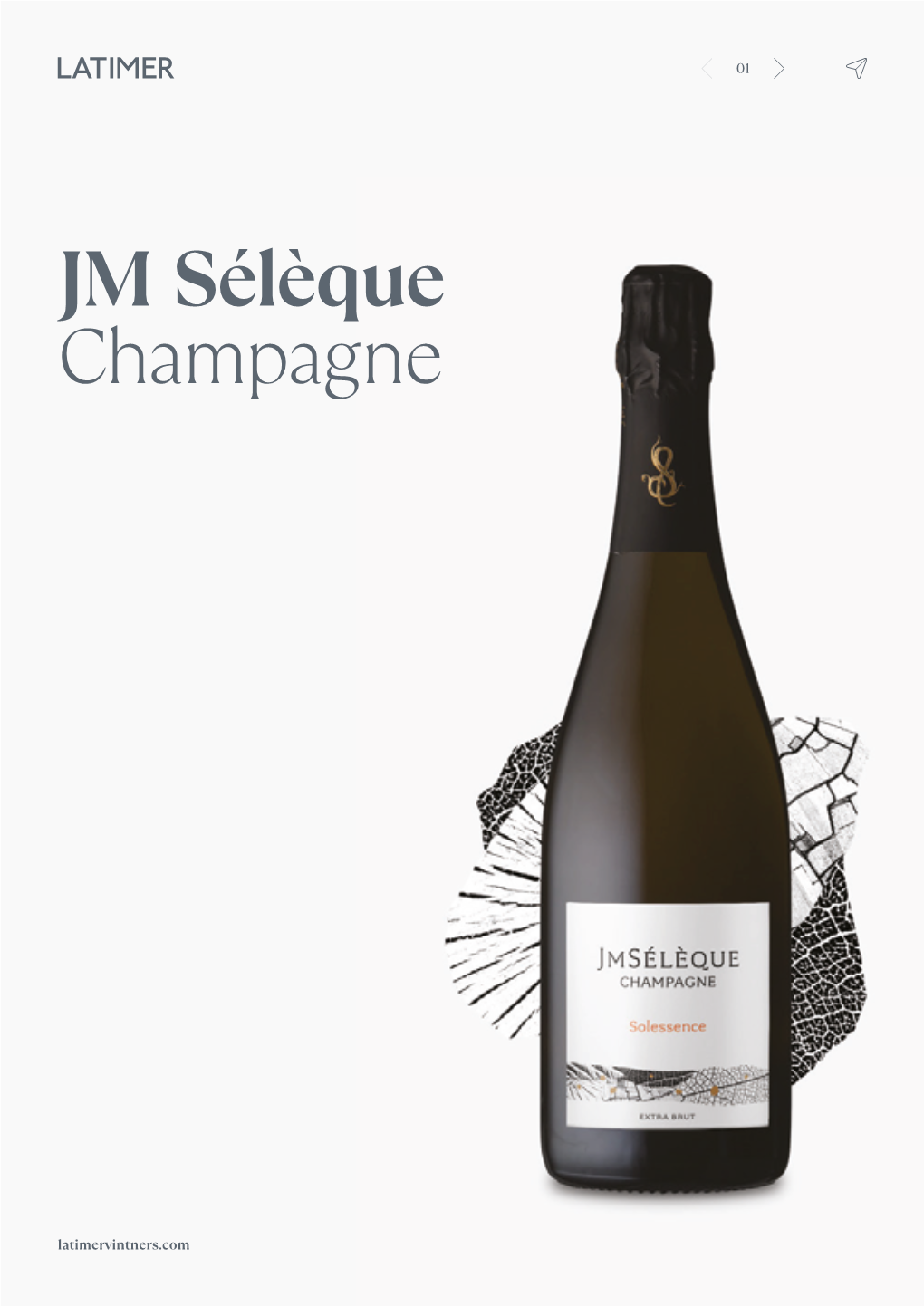 JM Sélèque Champagne Introducing 02