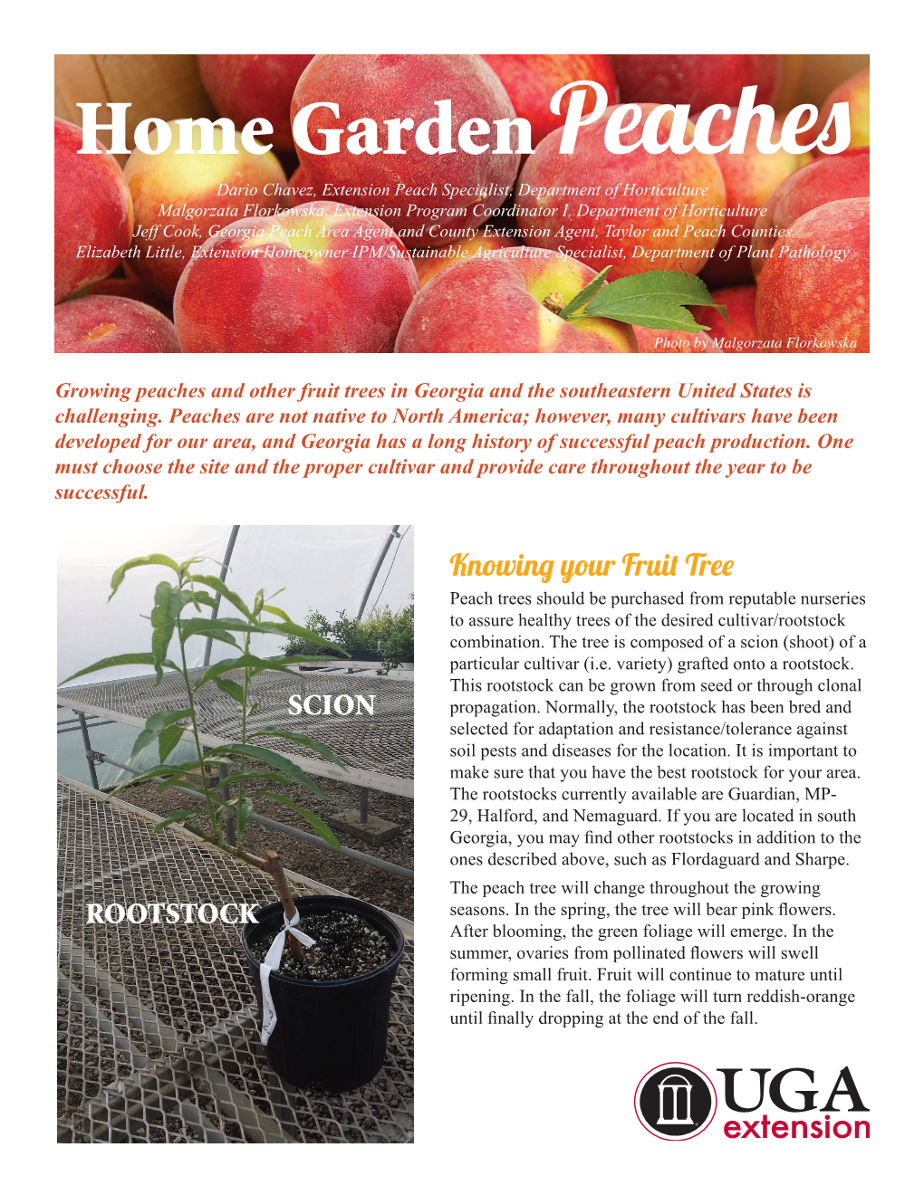 Home Gardenpeaches