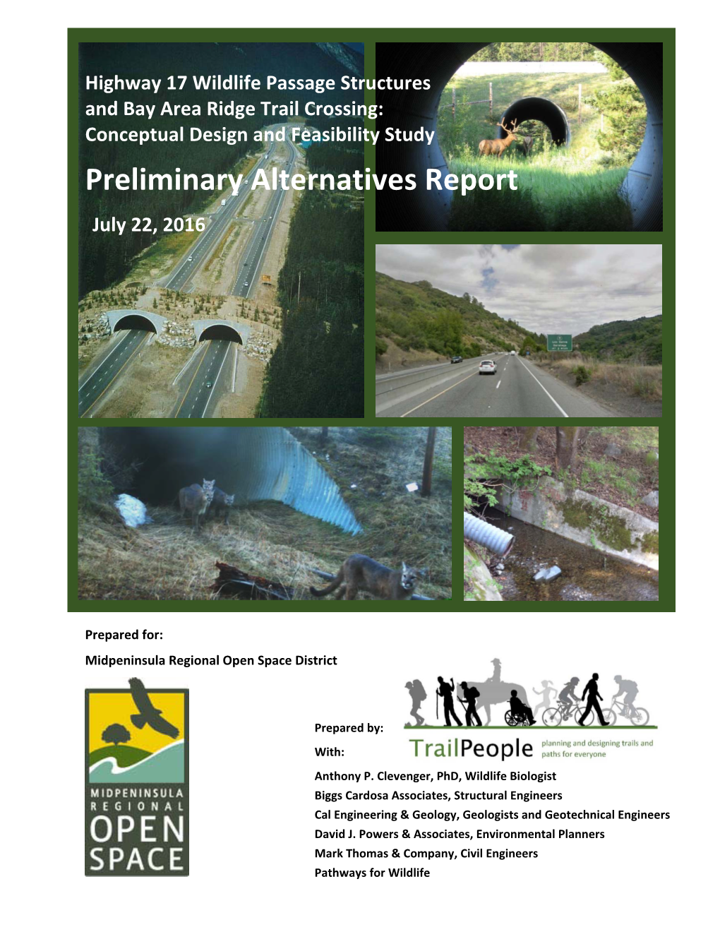 Preliminary Alternatives Report July 22, 2016