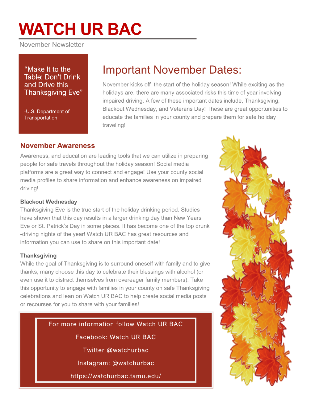 WATCH UR BAC November Newsletter