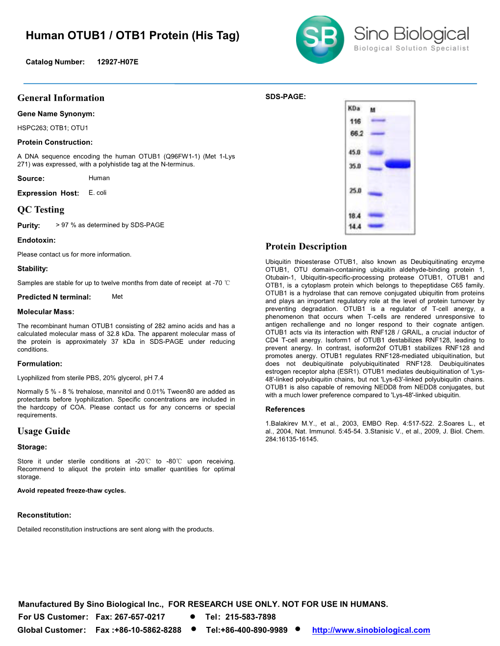 Human OTUB1 / OTB1 Protein (His Tag)