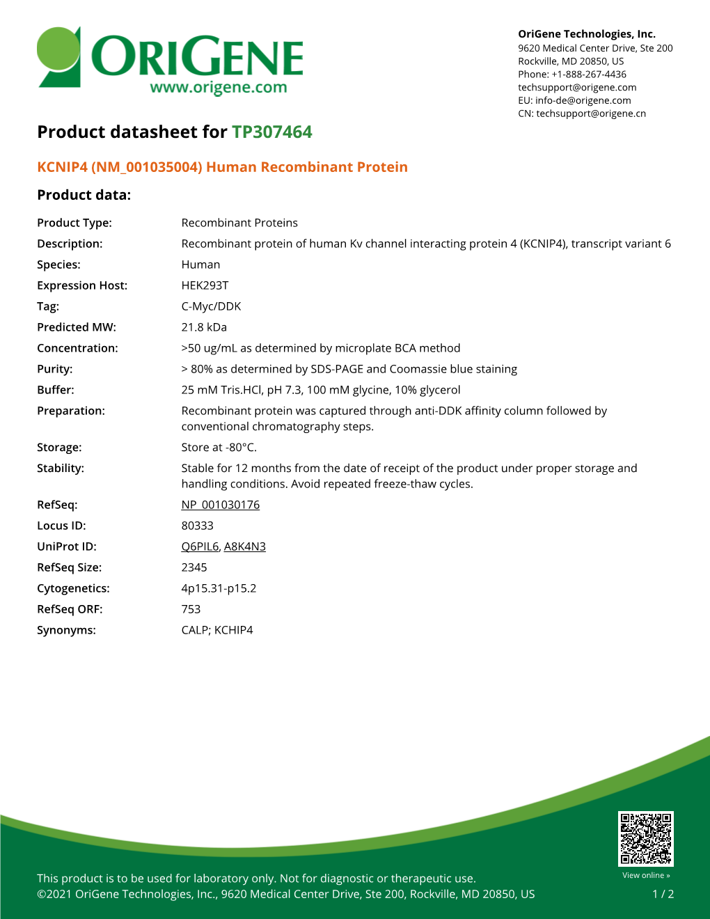 KCNIP4 (NM 001035004) Human Recombinant Protein Product Data