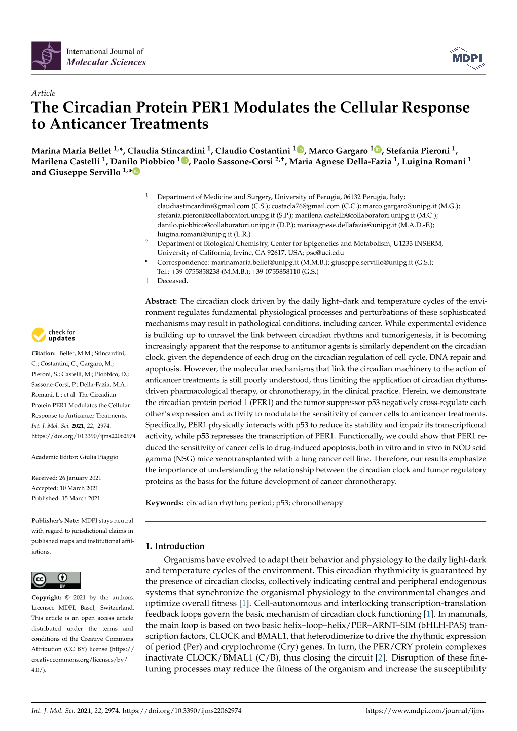 The Circadian Protein PER1 Modulates the Cellular Response to Anticancer Treatments