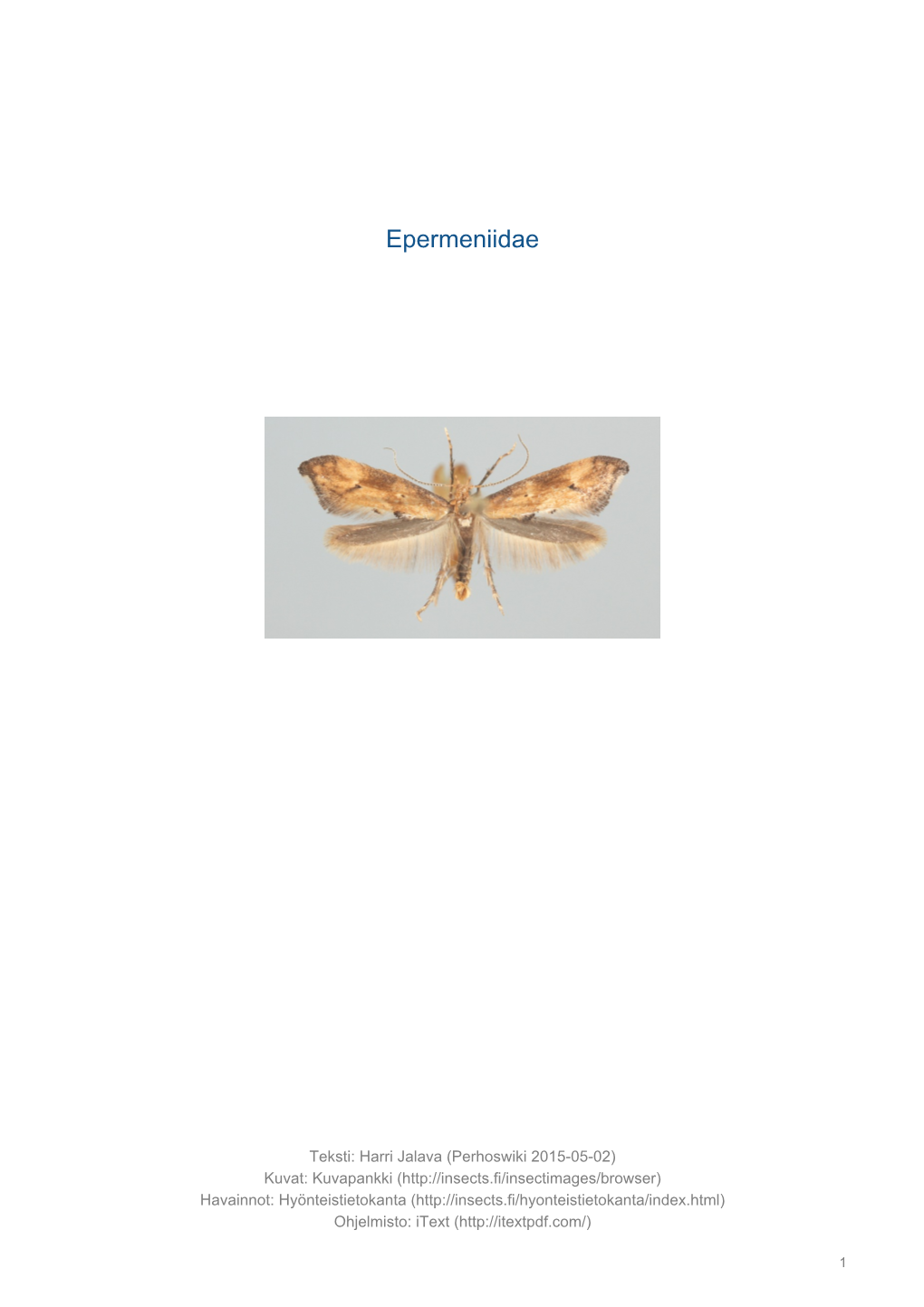 Epermeniidae