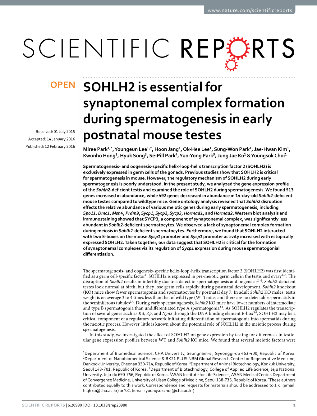 SOHLH2 Is Essential for Synaptonemal Complex Formation During Spermatogenesis in Early Postnatal Mouse Testes