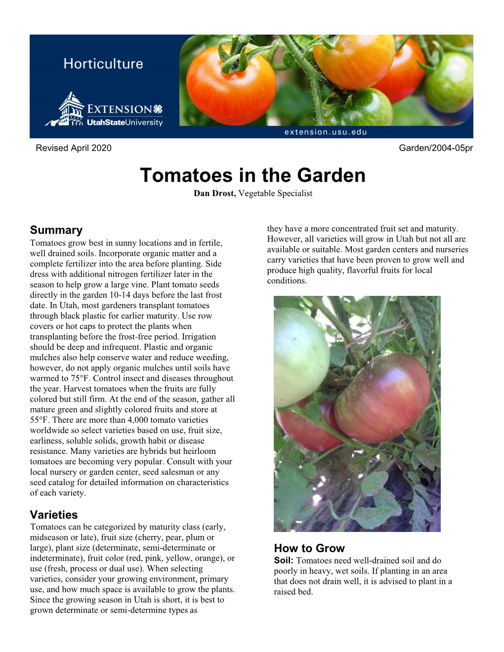 Tomatoes in the Garden Dan Drost, Vegetable Specialist