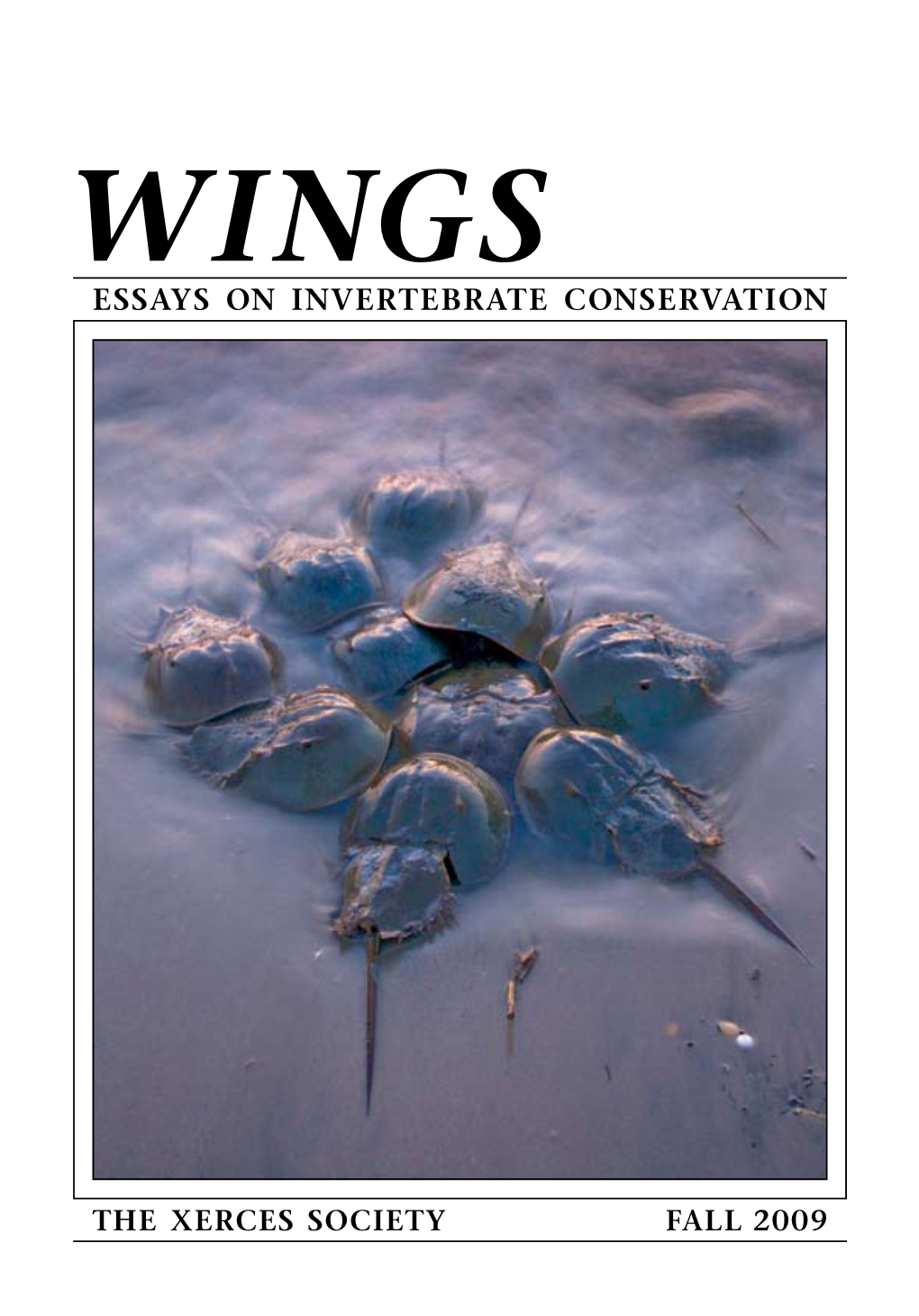 Essays on Invertebrate Conservation