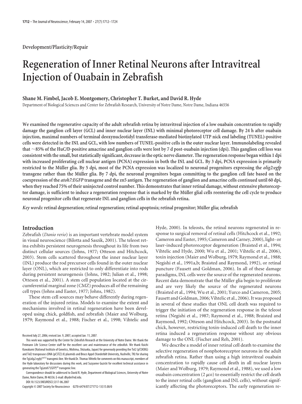 Regeneration of Inner Retinal Neurons After Intravitreal Injection of Ouabain in Zebrafish