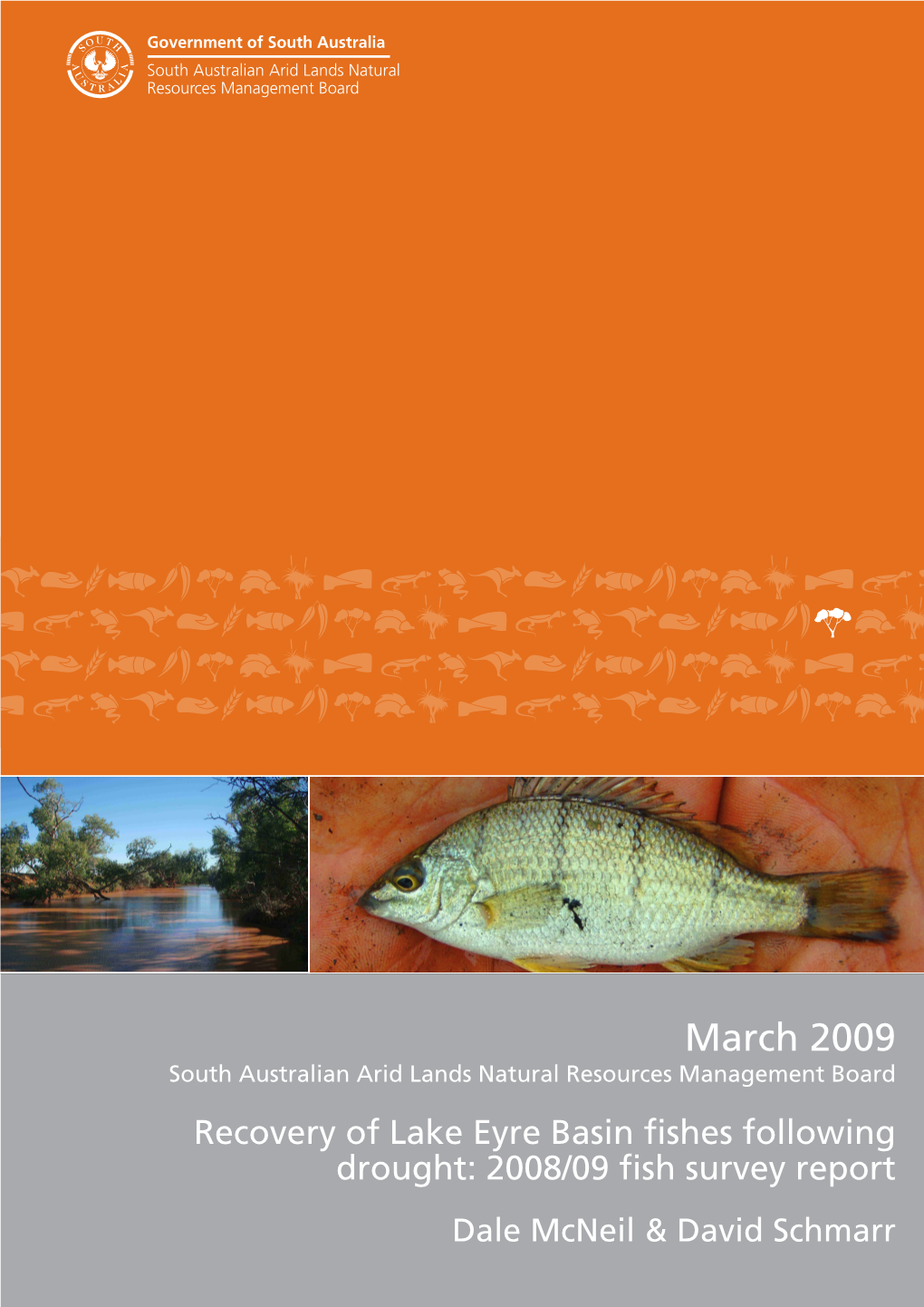 Recovery of Lake Eyre Basin Fishes Following Drought: 2008/09 Fish Survey Report Dale Mcneil & David Schmarr