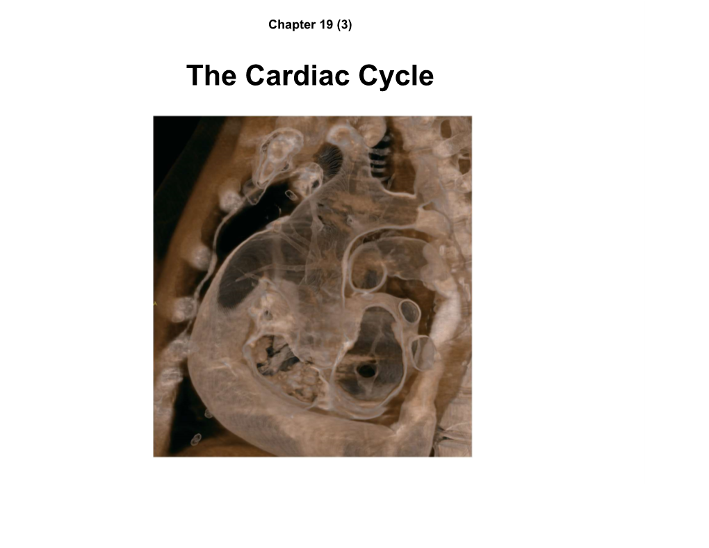 The Cardiac Cycle Learning Objectives