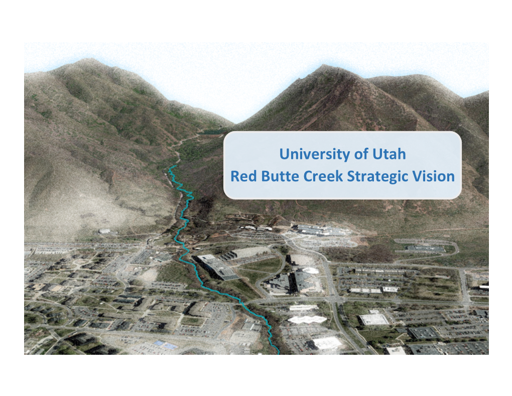 University of Utah Red Butte Creek Strategic Vision TABLE of CONTENTS