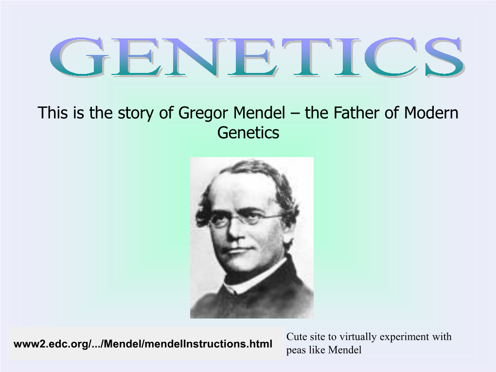 This Is the Story of Gregor Mendel – the Father of Modern Genetics