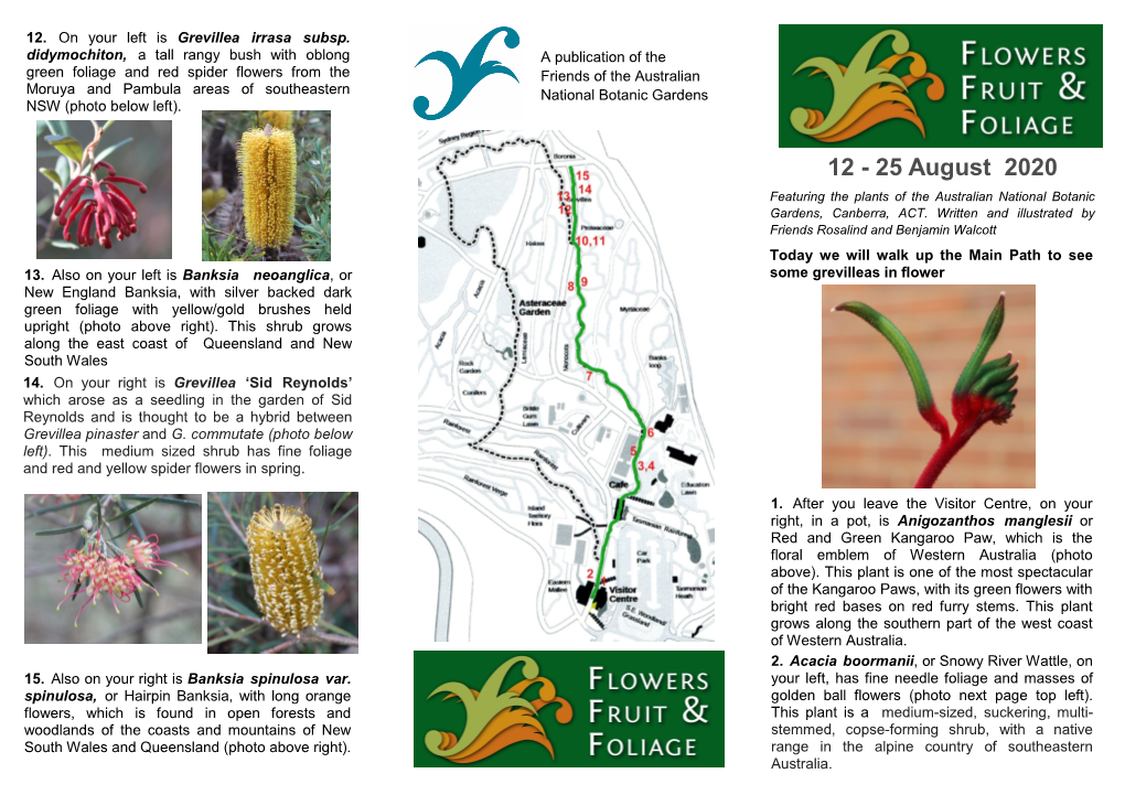 25 August 2020 Featuring the Plants of the Australian National Botanic Gardens, Canberra, ACT