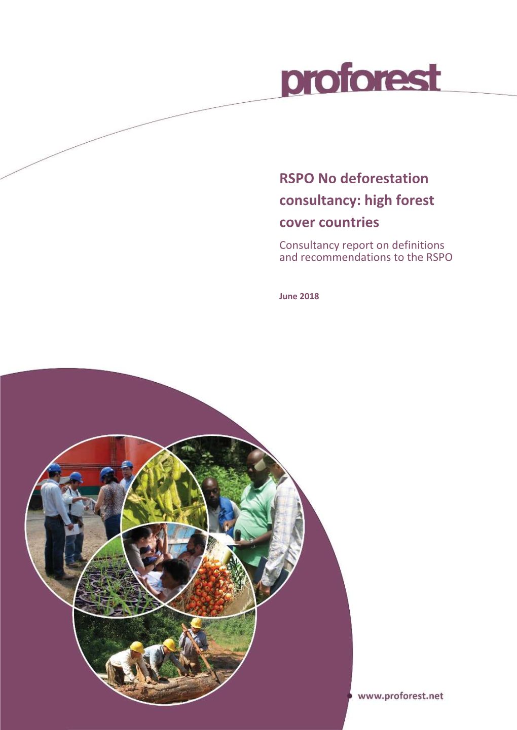 RSPO No Deforestation Consultancy: High Forest Cover Countries Consultancy Report on Definitions and Recommendations to the RSPO