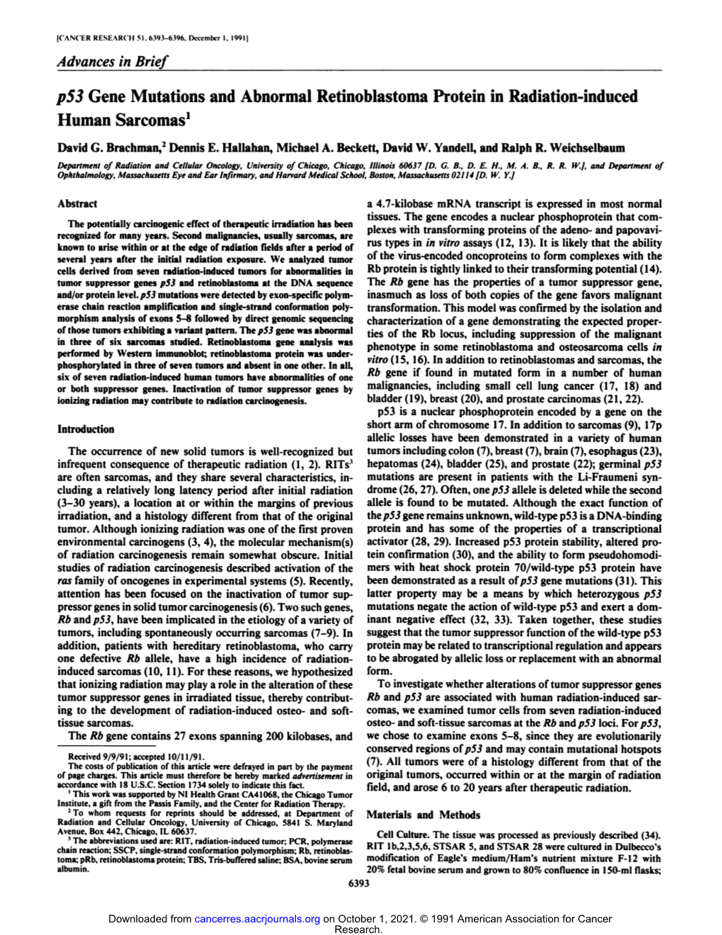 P53 Gene Mutations and Abnormal Retinoblastoma Protein in Radiation-Induced Human Sarcomas1