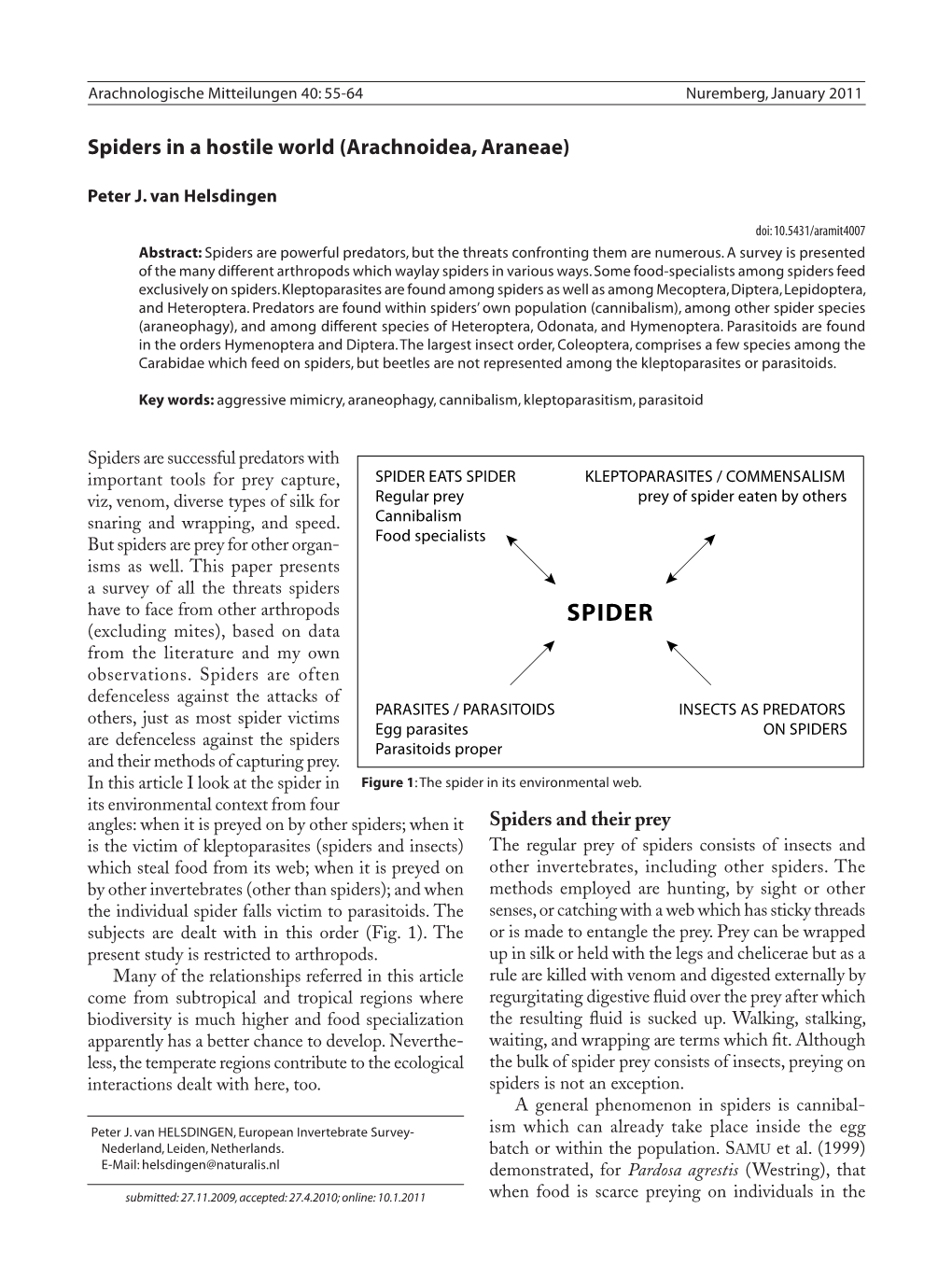 Spiders in a Hostile World (Arachnoidea, Araneae)