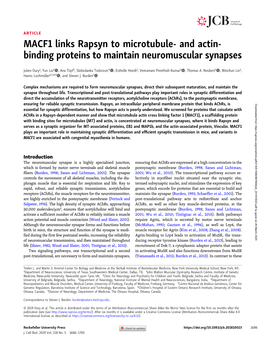 And Actin-Binding Proteins to Maintain Neuromuscular Synapses