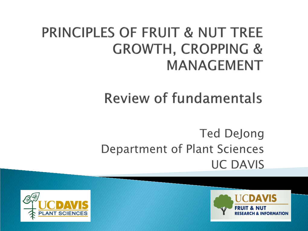 Using Computer Technology to Study, Understand and Teach How Trees Grow