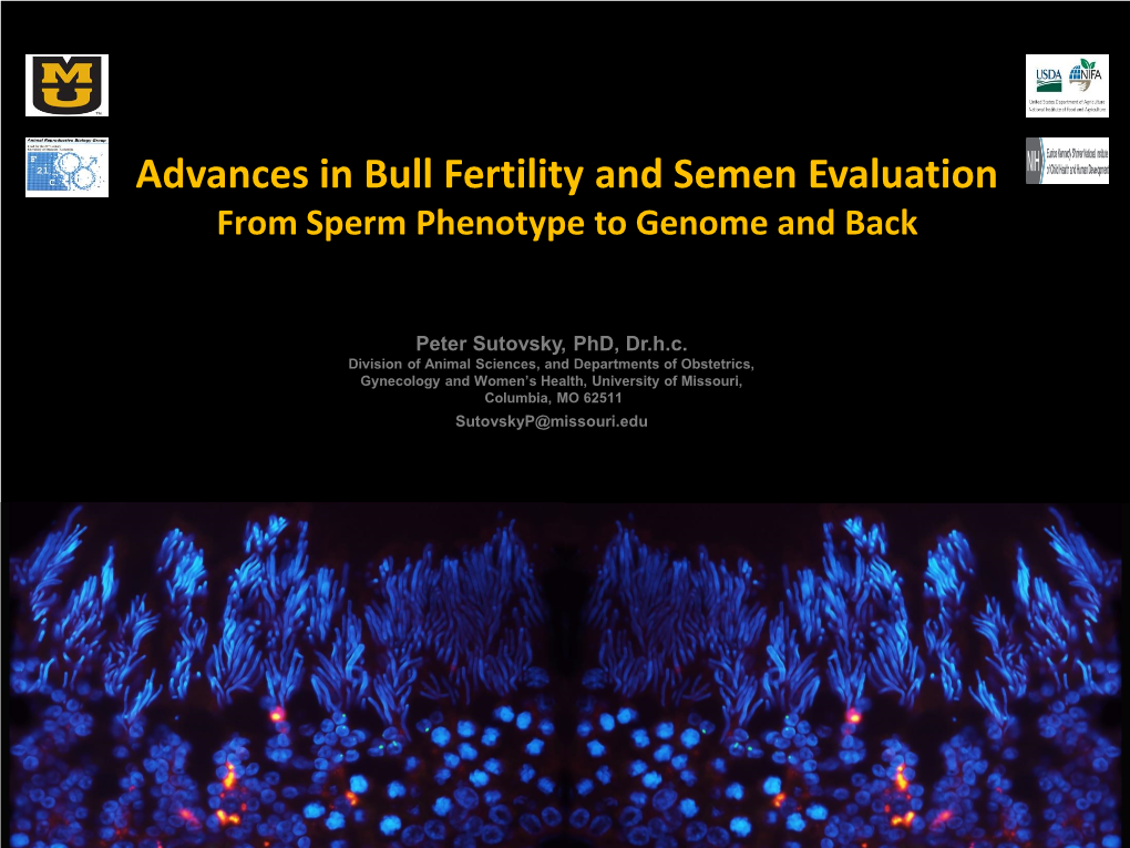 Advances in Bull Fertility and Semen Evaluation from Sperm Phenotype to Genome and Back