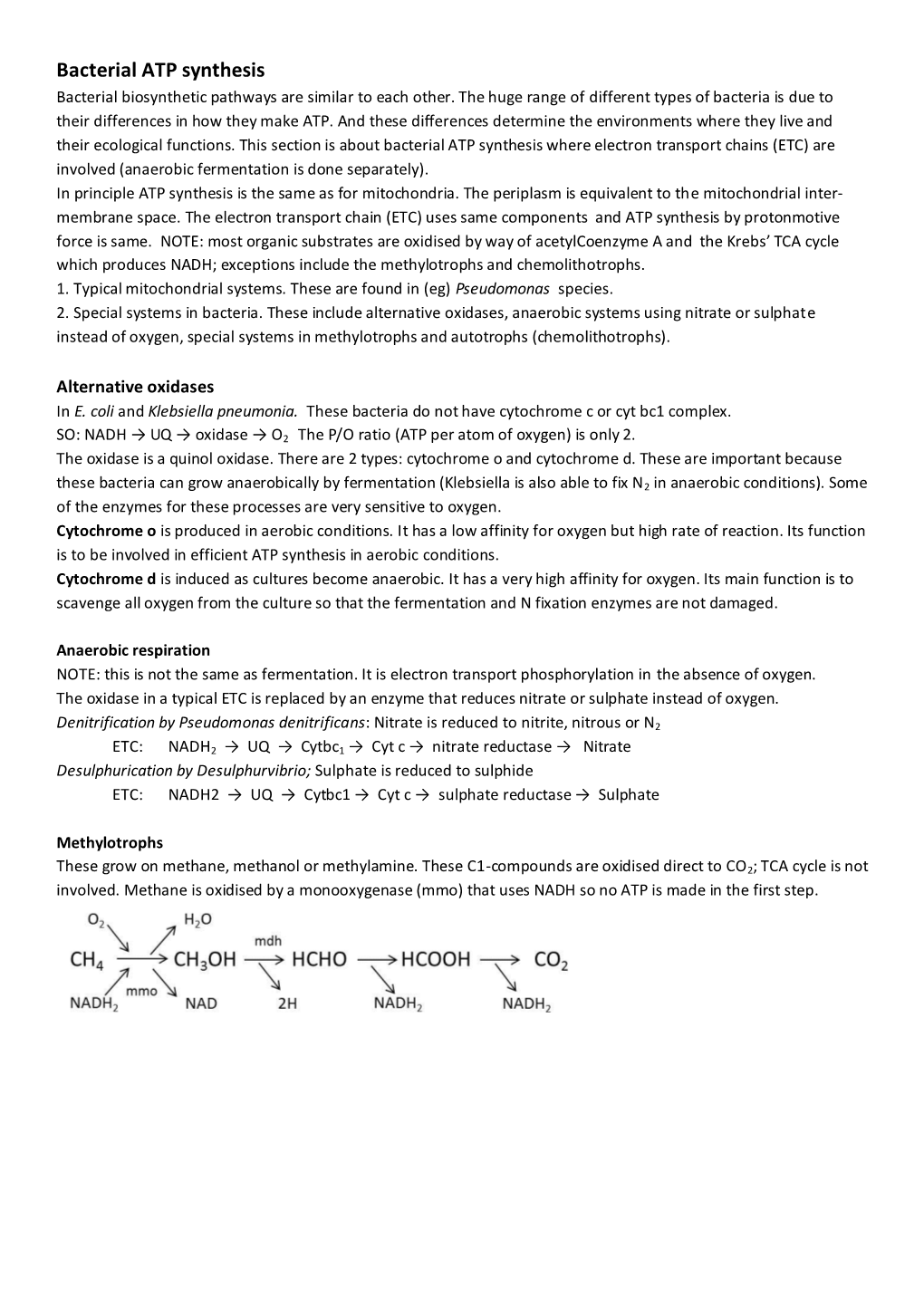 Bacterial ATP Synthesis Bacterial Biosynthetic Pathways Are Similar to Each Other