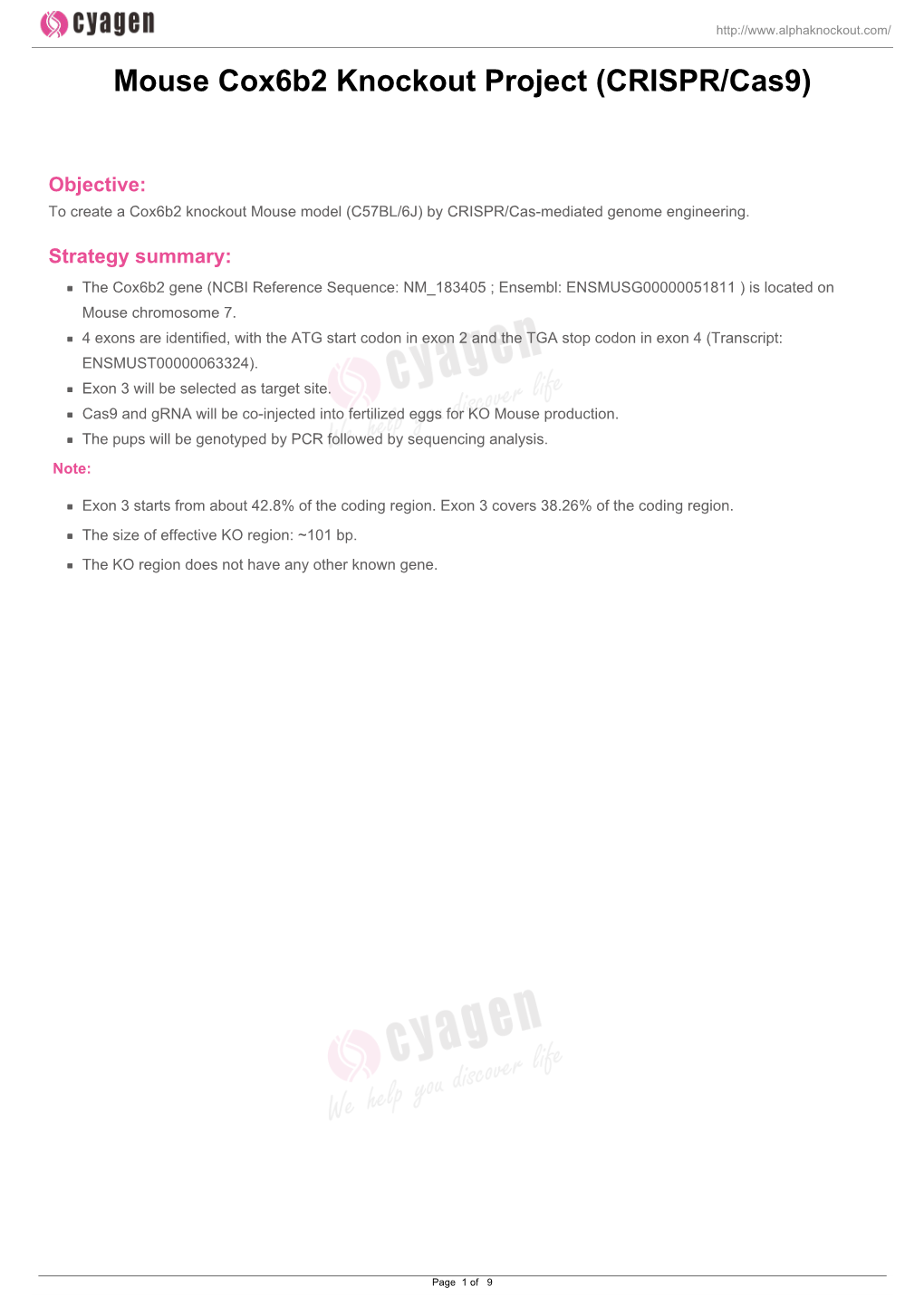 Mouse Cox6b2 Knockout Project (CRISPR/Cas9)