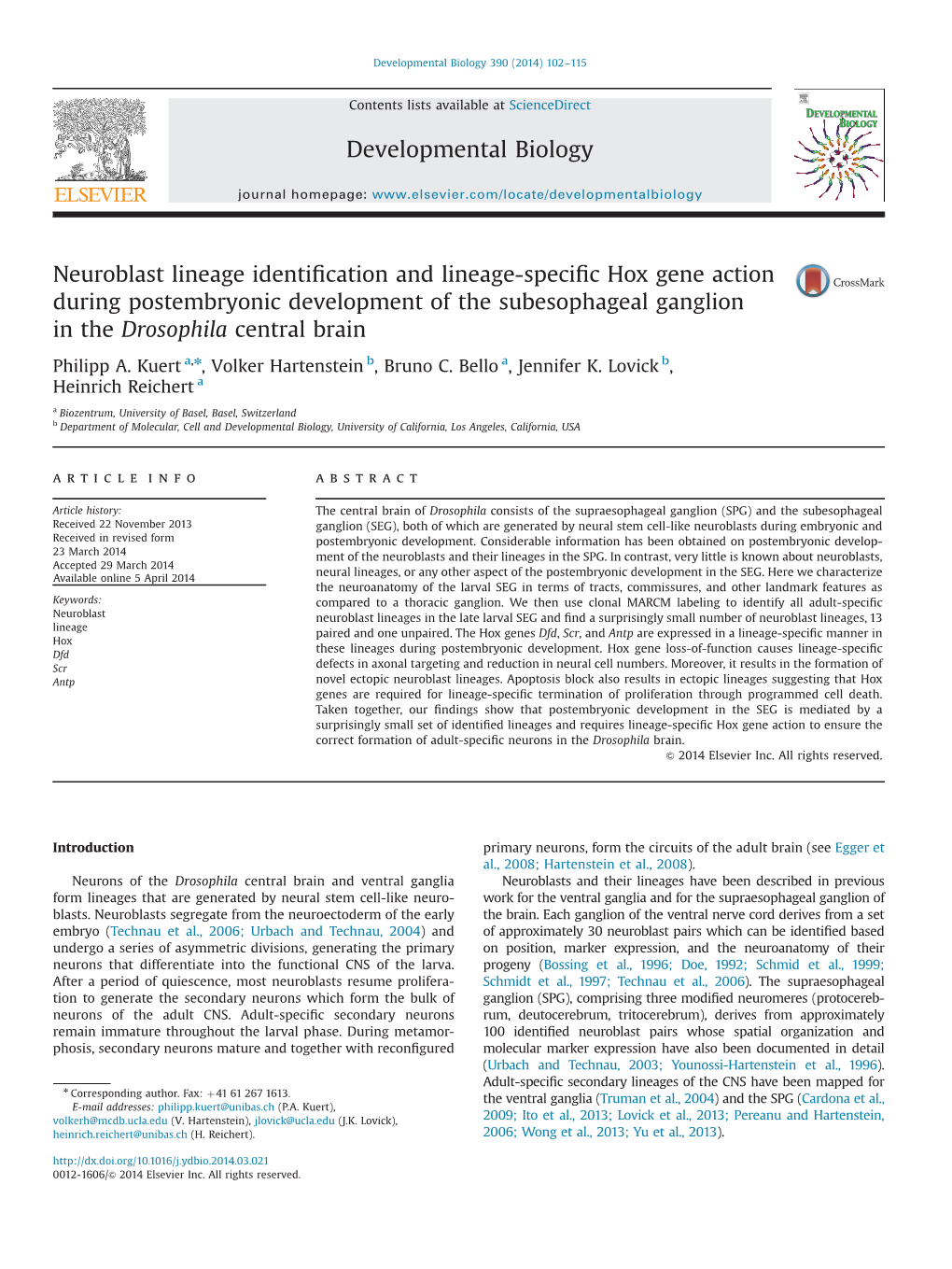 Neuroblast Lineage Identification and Lineage-Specific Hox Gene Action