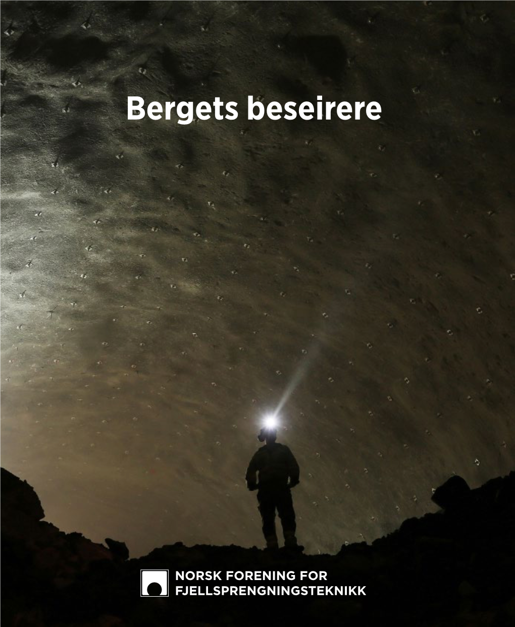 Bergets-Beseirere-20201117