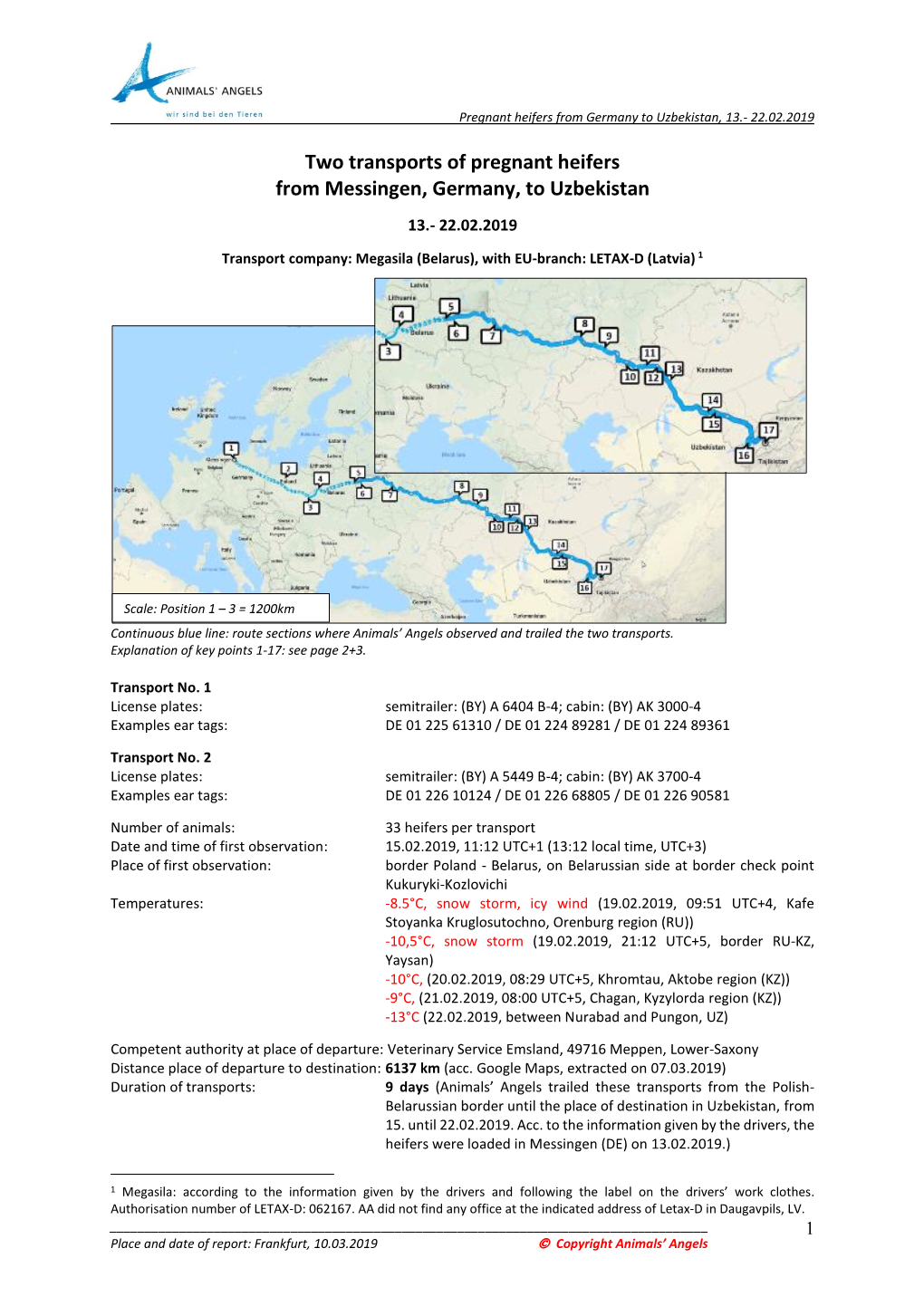 Transport of Pregnant Heifers from Messingen, Germany, To