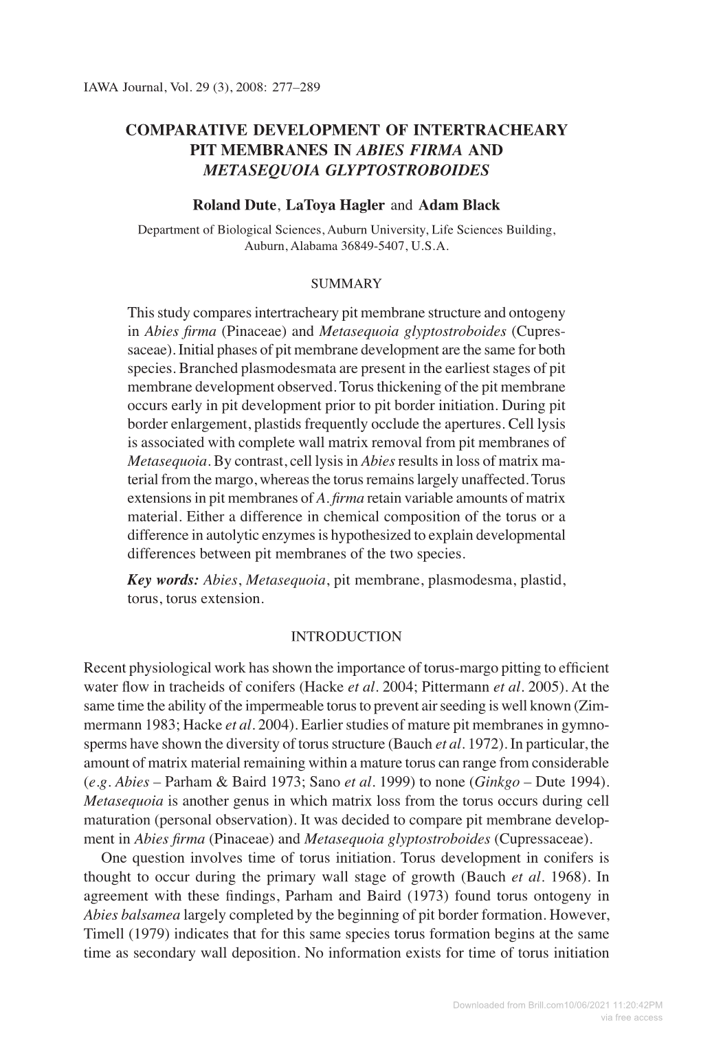 Comparative Development of Intertracheary Pit Membranes in Abies Firma and Metasequoia Glyptostroboides