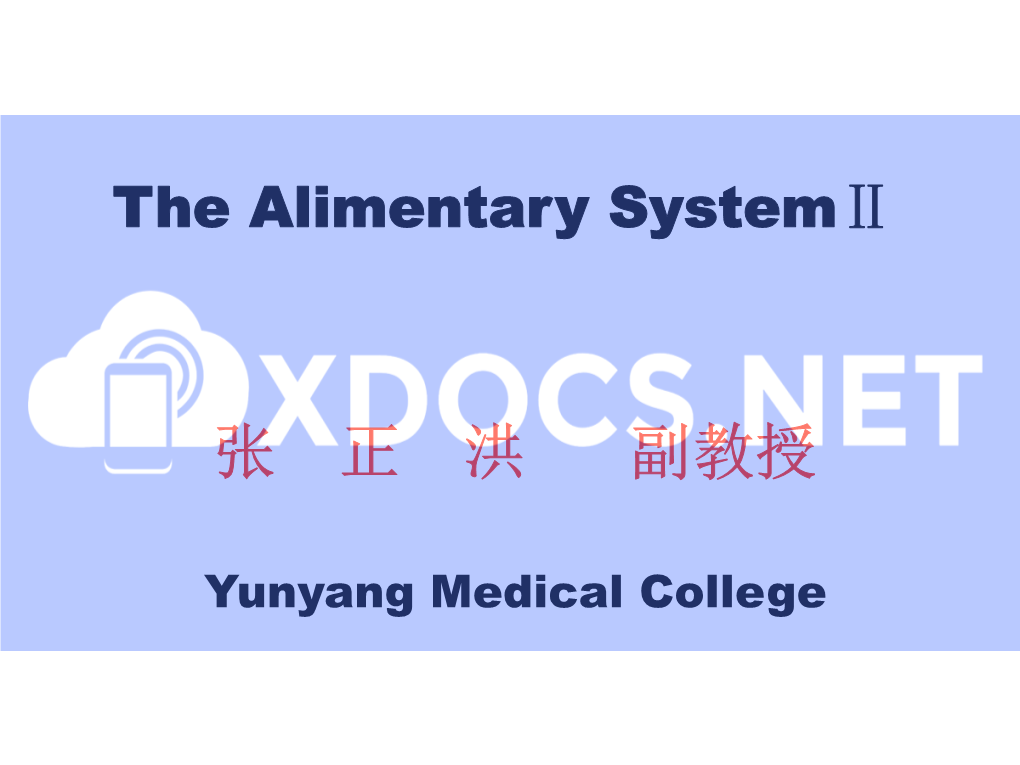 Alimentary System2