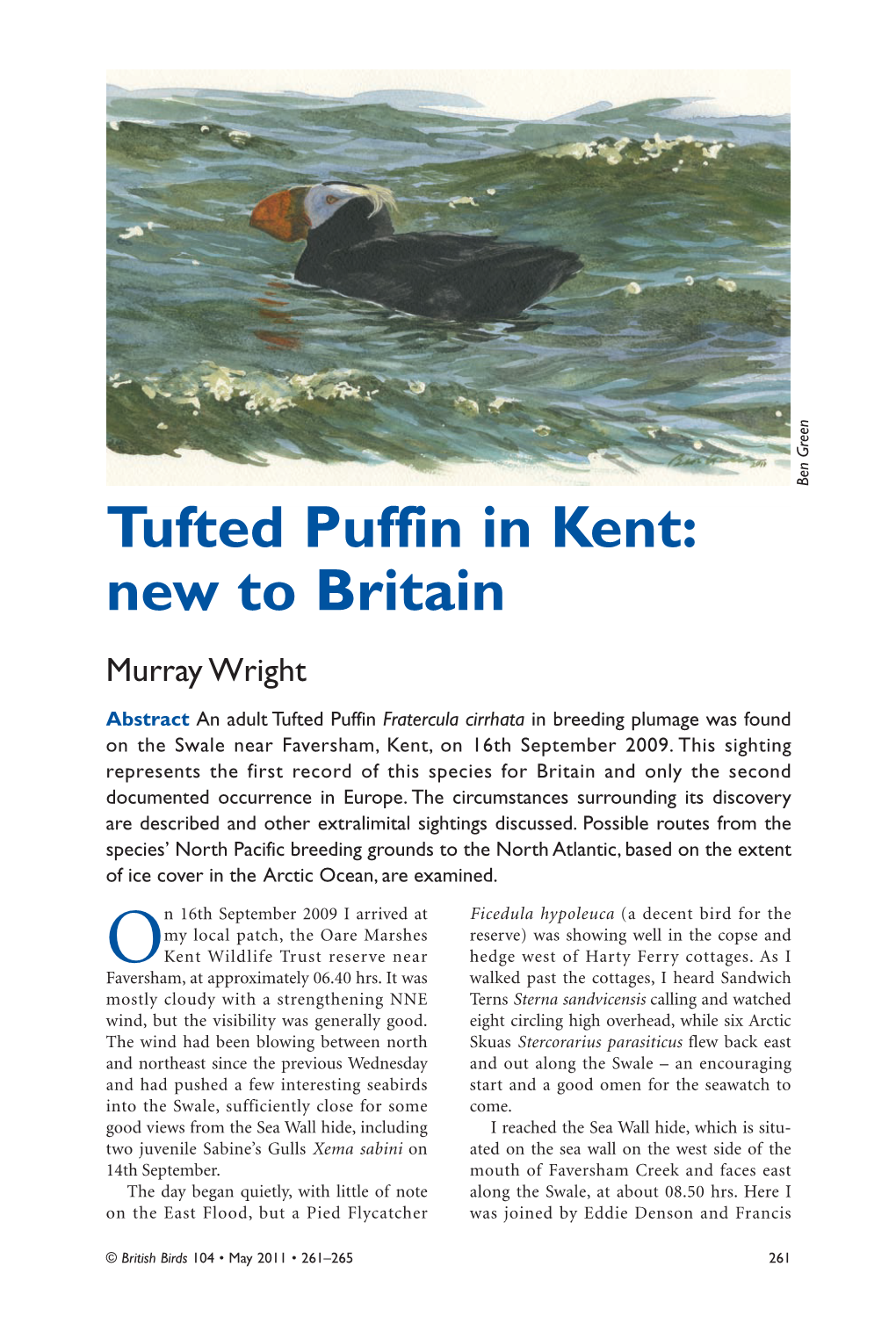 Tufted Puffin in Kent: New to Britain Murray Wright