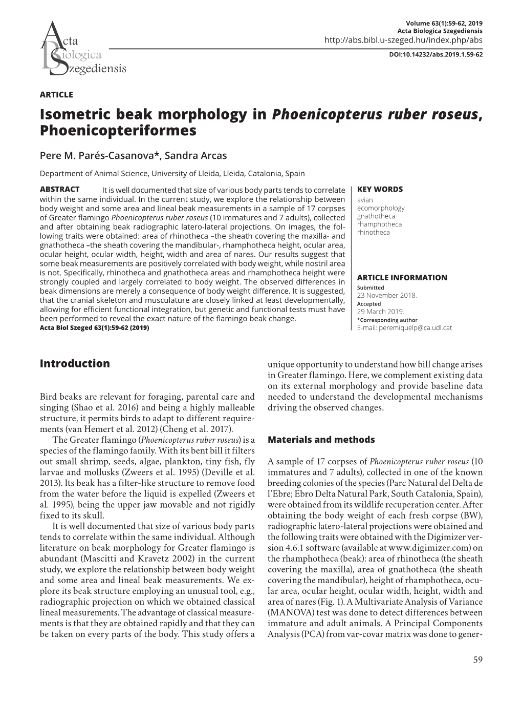 Isometric Beak Morphology in Phoenicopterus Ruber Roseus, Phoenicopteriformes