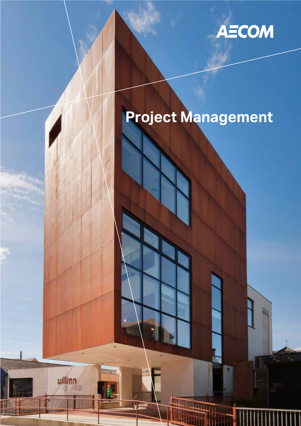 Project Management in Ireland