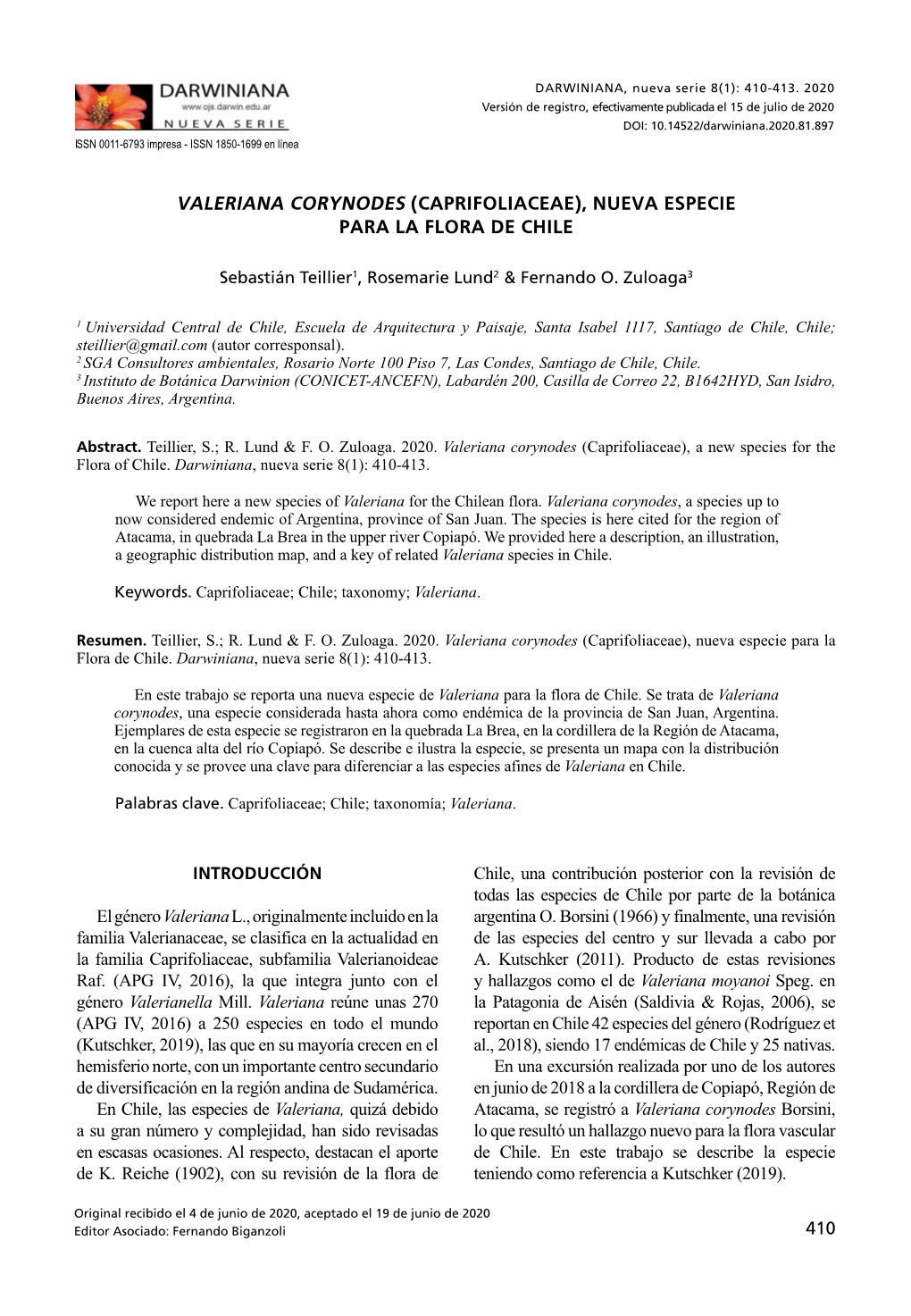 Valeriana Corynodes (Caprifoliaceae), Nueva Especie Para La Flora De Chile