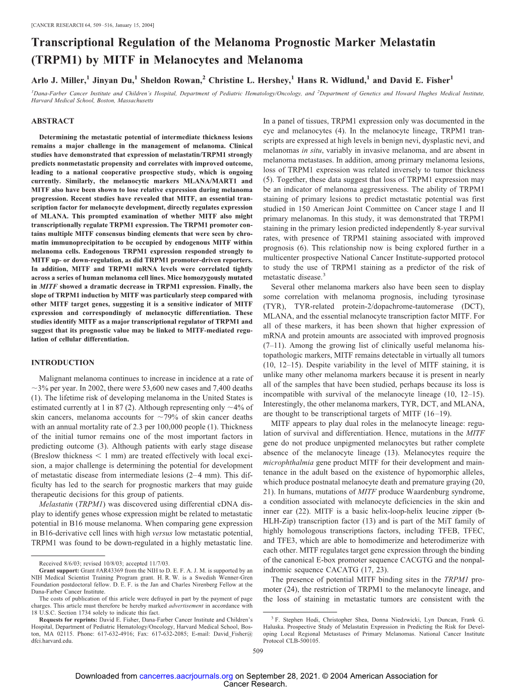 By MITF in Melanocytes and Melanoma