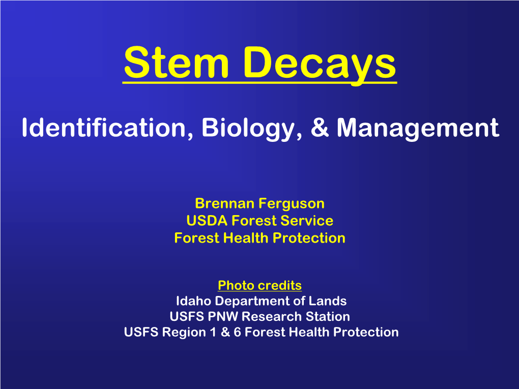 Brennan Ferguson USDA Forest Service Forest Health Protection