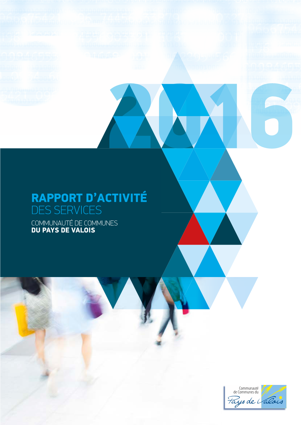 Rapport Activite 2016 0048549