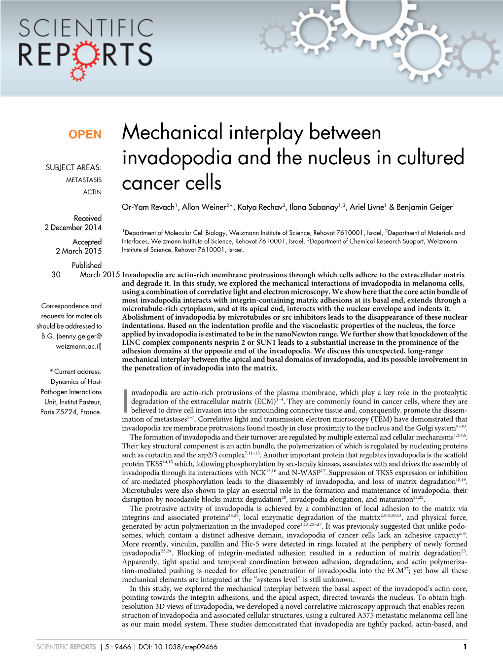 Mechanical Interplay Between Invadopodia and the Nucleus In