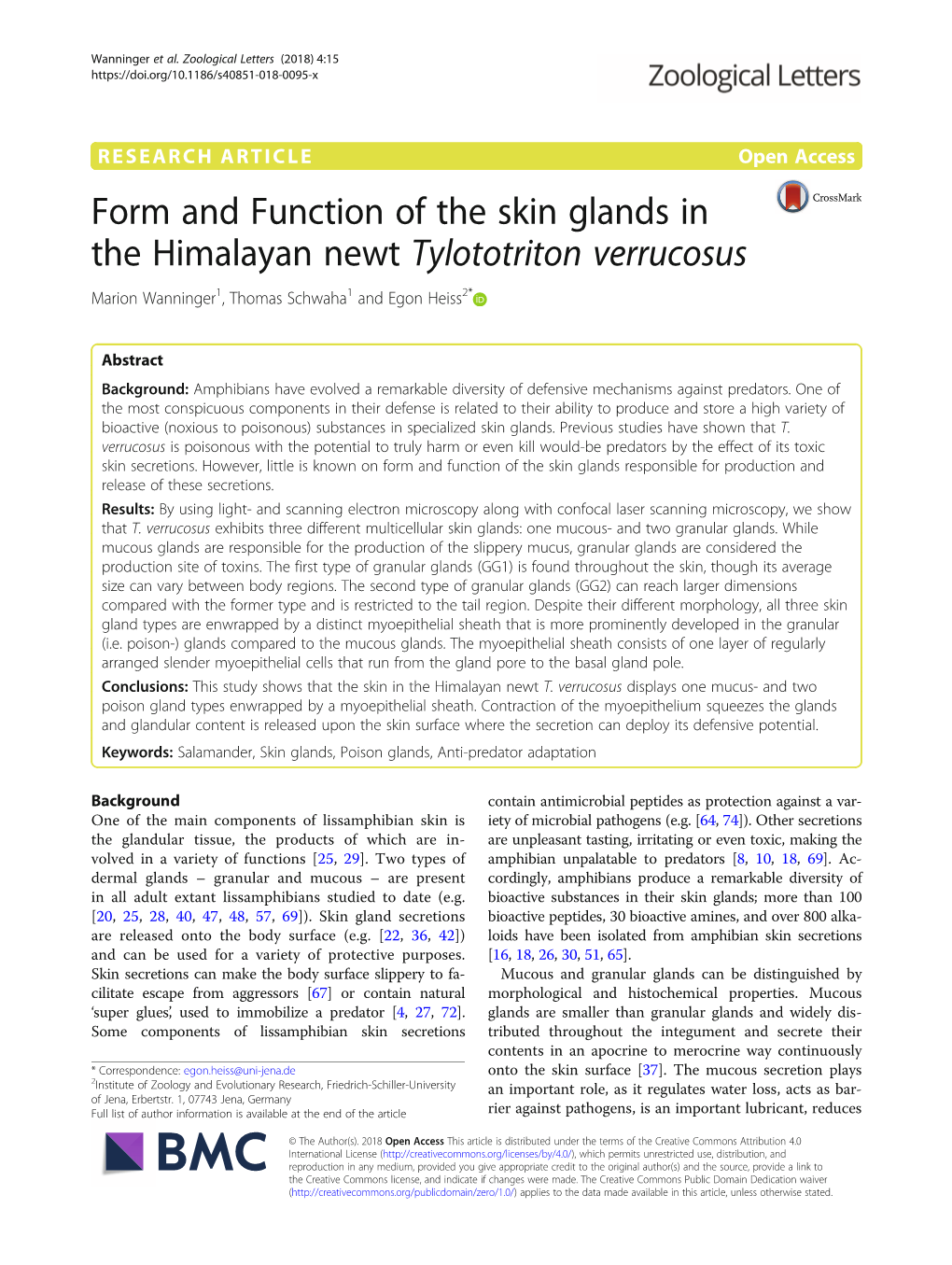 Form and Function of the Skin Glands in the Himalayan Newt Tylototriton Verrucosus Marion Wanninger1, Thomas Schwaha1 and Egon Heiss2*