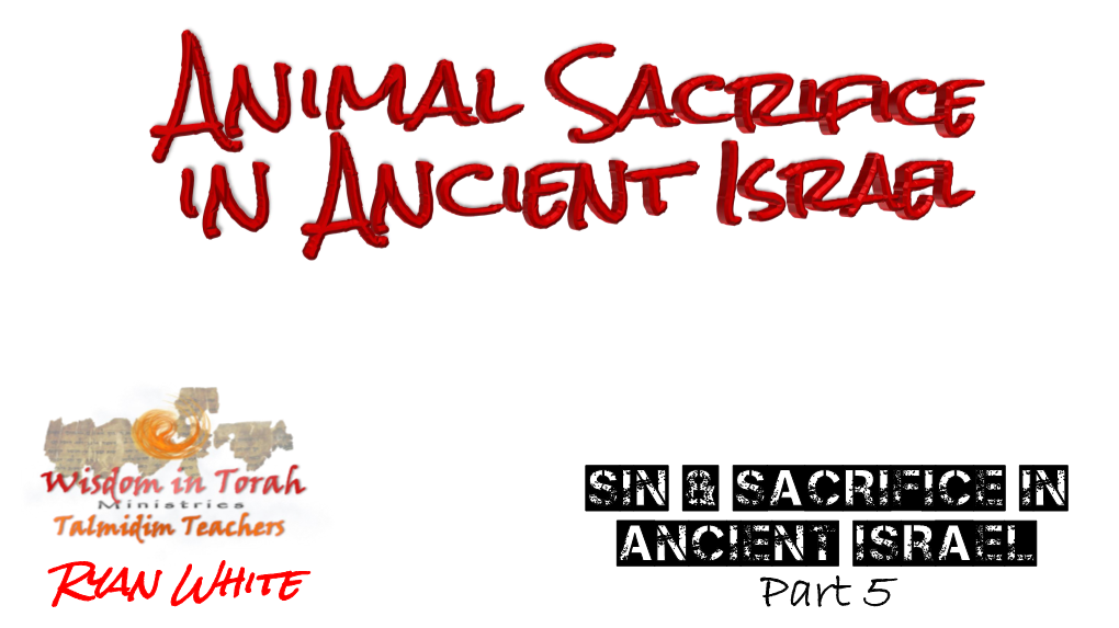 Animal Sacrifice in Ancient Israel