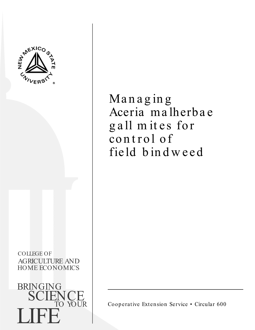 Managing Aceria Malherbae Gall Mites for Control of Field Bindweed