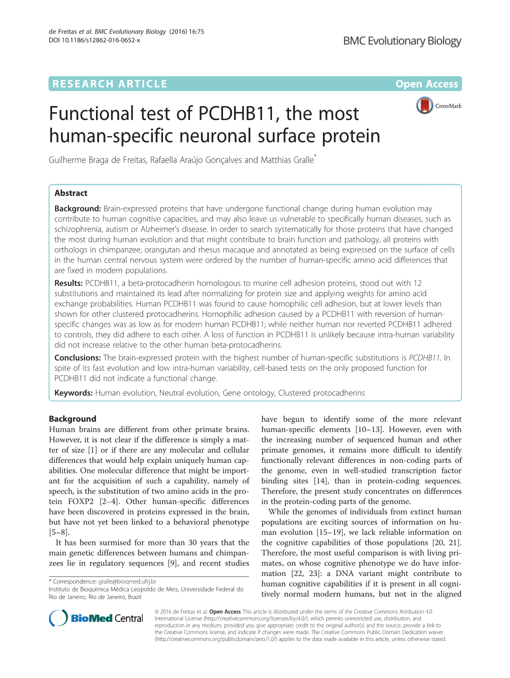 Functional Test of PCDHB11, the Most Human-Specific Neuronal Surface Protein Guilherme Braga De Freitas, Rafaella Araújo Gonçalves and Matthias Gralle*