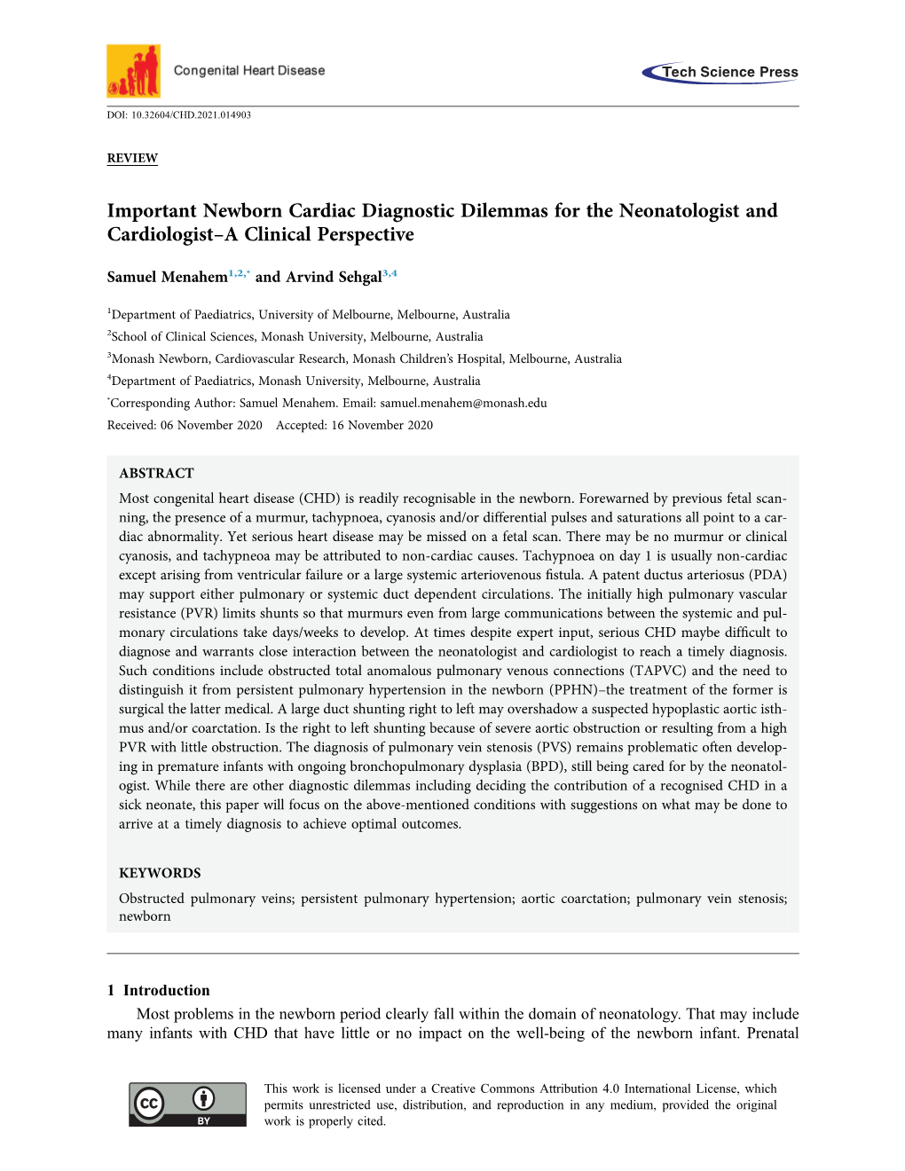 Important Newborn Cardiac Diagnostic Dilemmas for the Neonatologist and Cardiologist–A Clinical Perspective