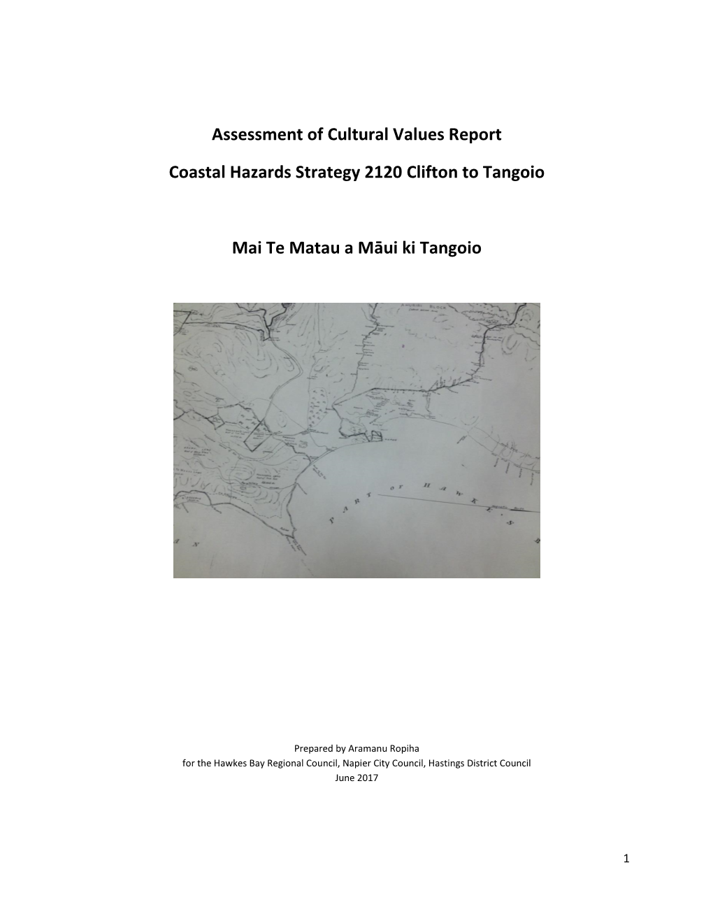 Cultural Values Report