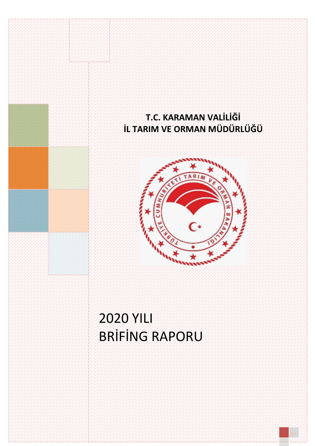 2020 Yılı Brifing Raporu